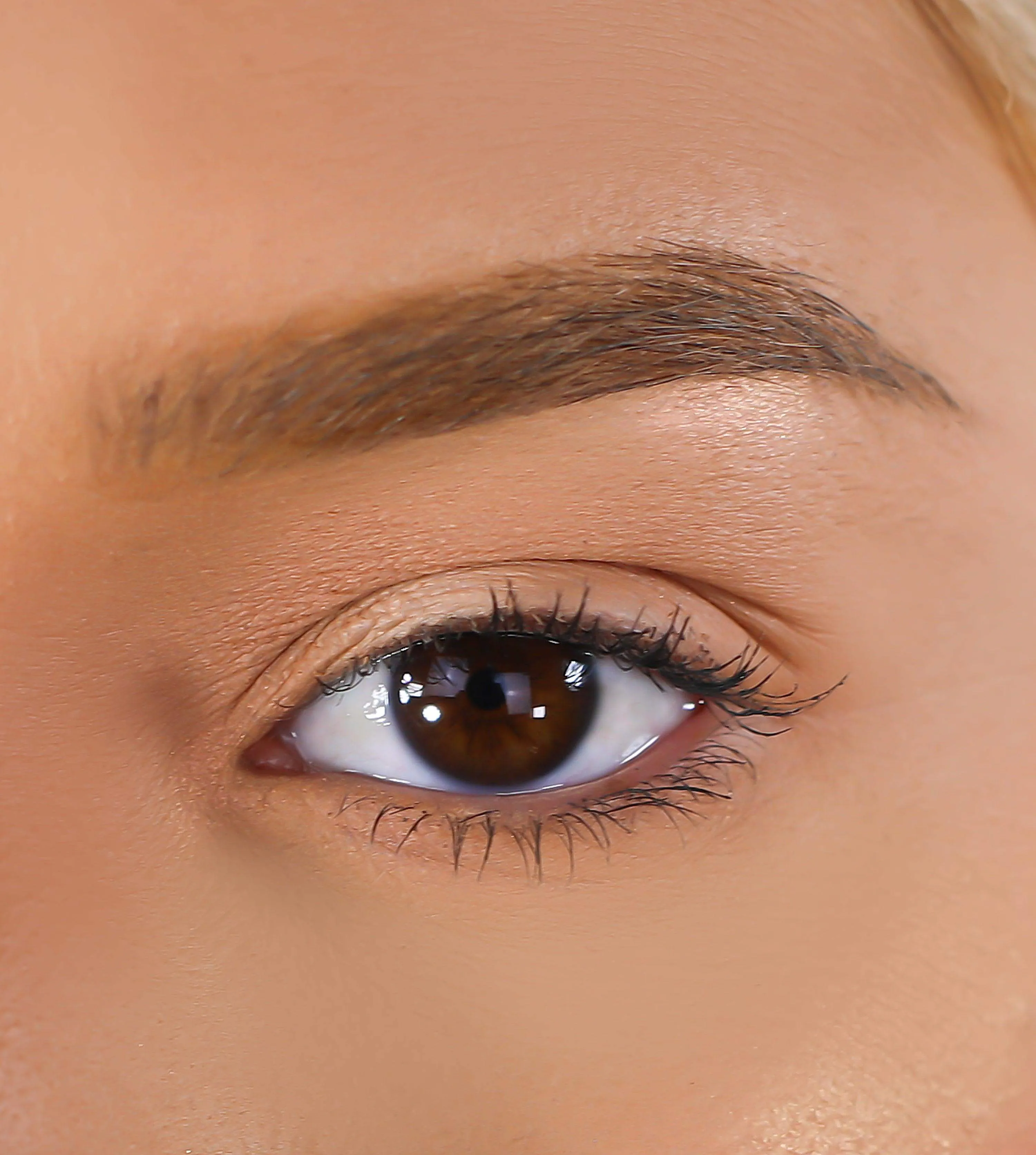 3D Mink Eyelashes - Candice