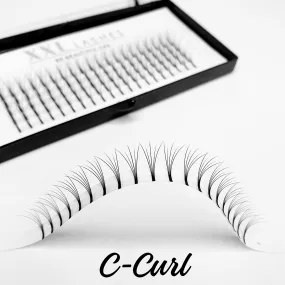 5D - Premade Fans - 120 pcs | C-Curl