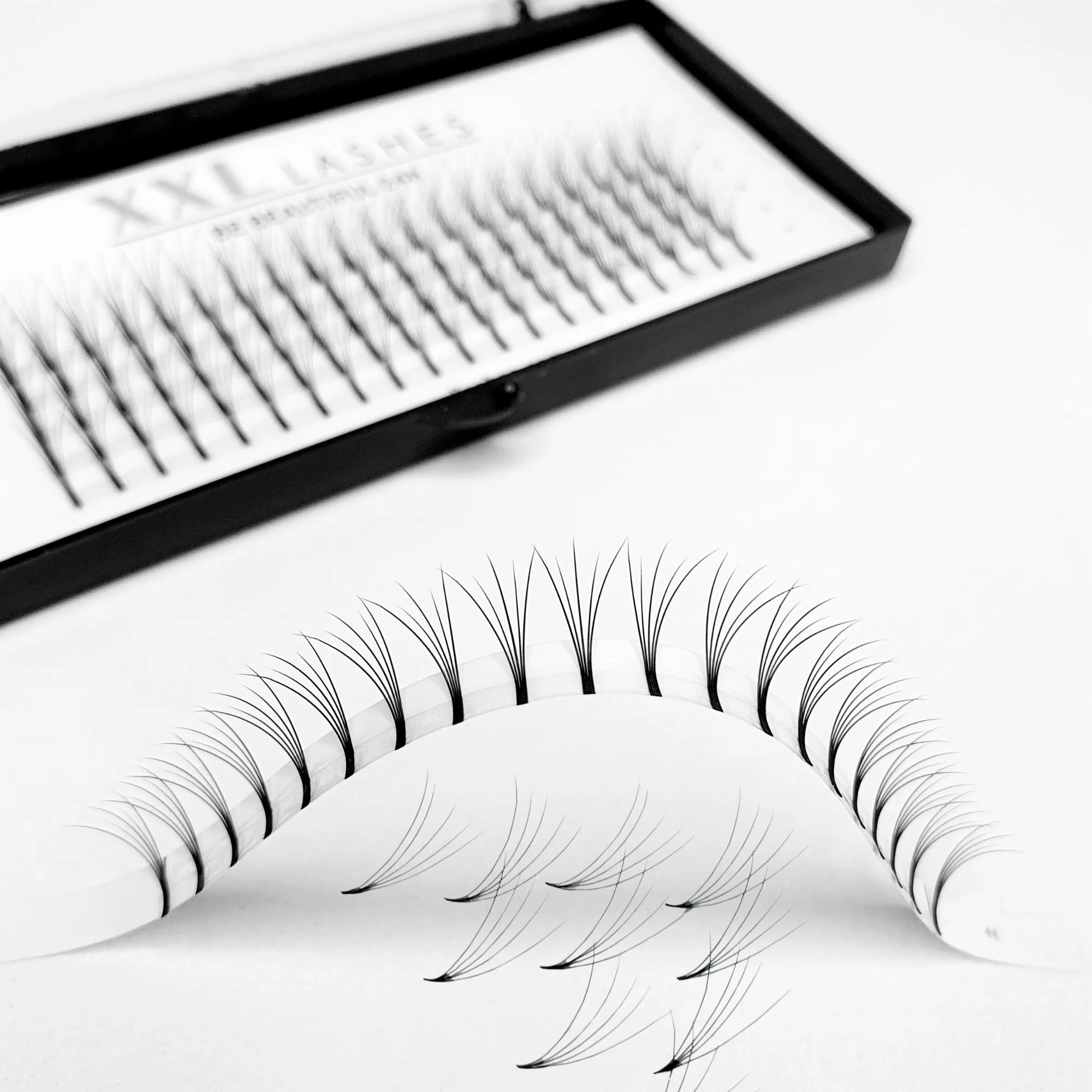 5D - Premade Fans - 120 pcs | C-Curl