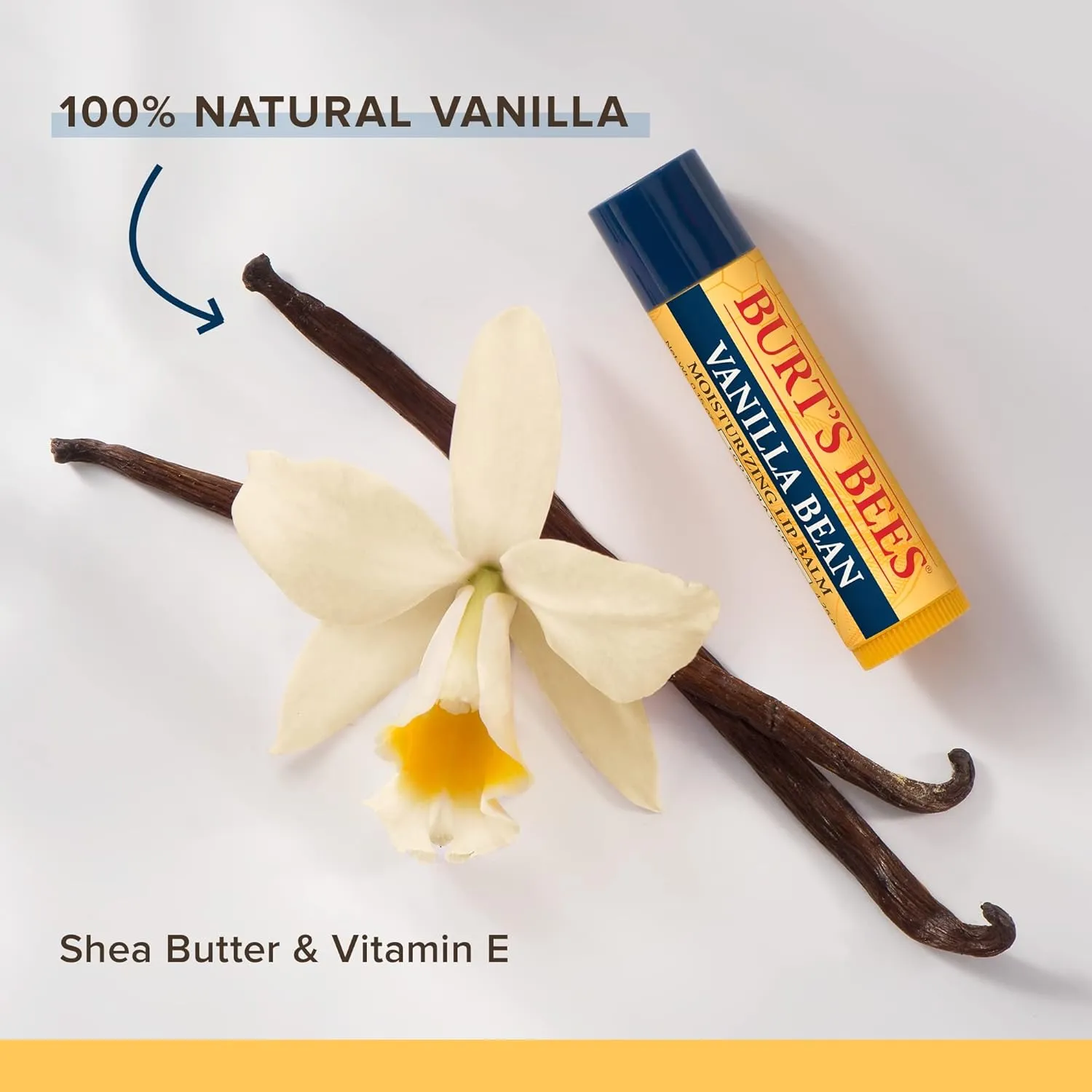 Burt's Bees Lip Balm Stocking Stuffers, Moisturizing Lip Care Christmas Gifts, Vanilla Bean, 100% Natural (2-Pack)