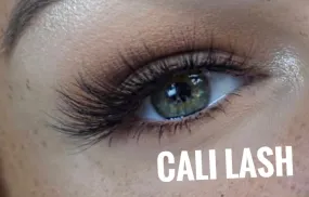 Cali Lash