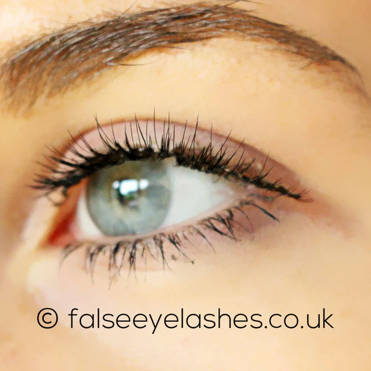 Kiss Natural Lashes - Shy