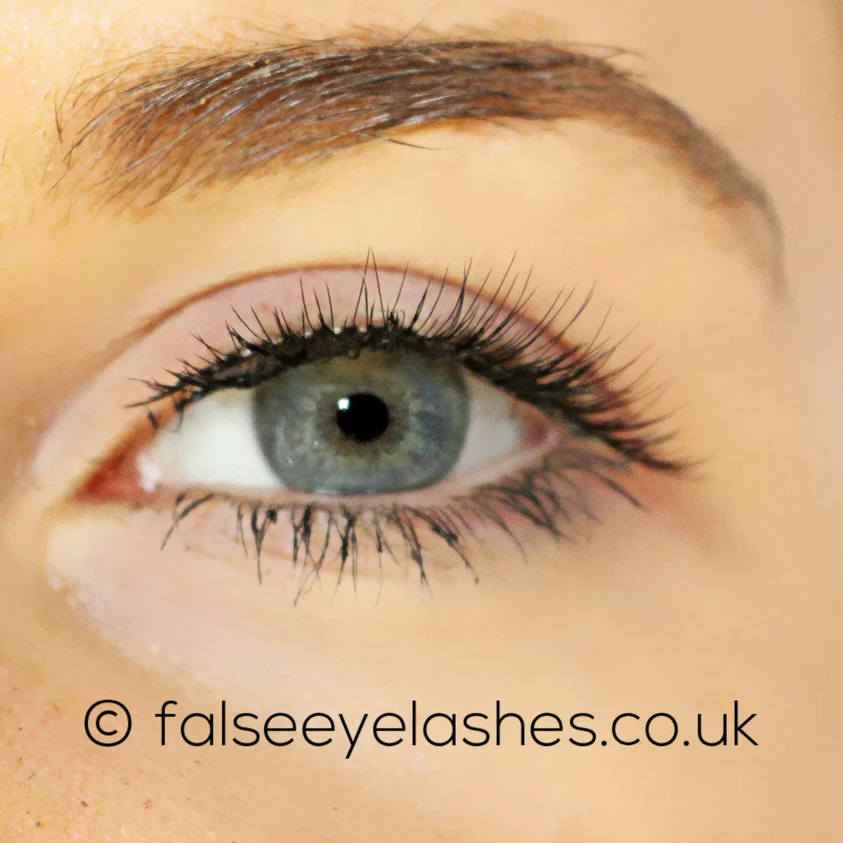 Kiss Natural Lashes - Shy