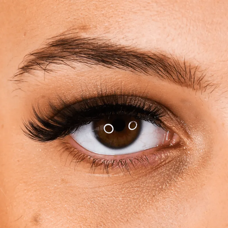 LB08 Volume Strip Lashes
