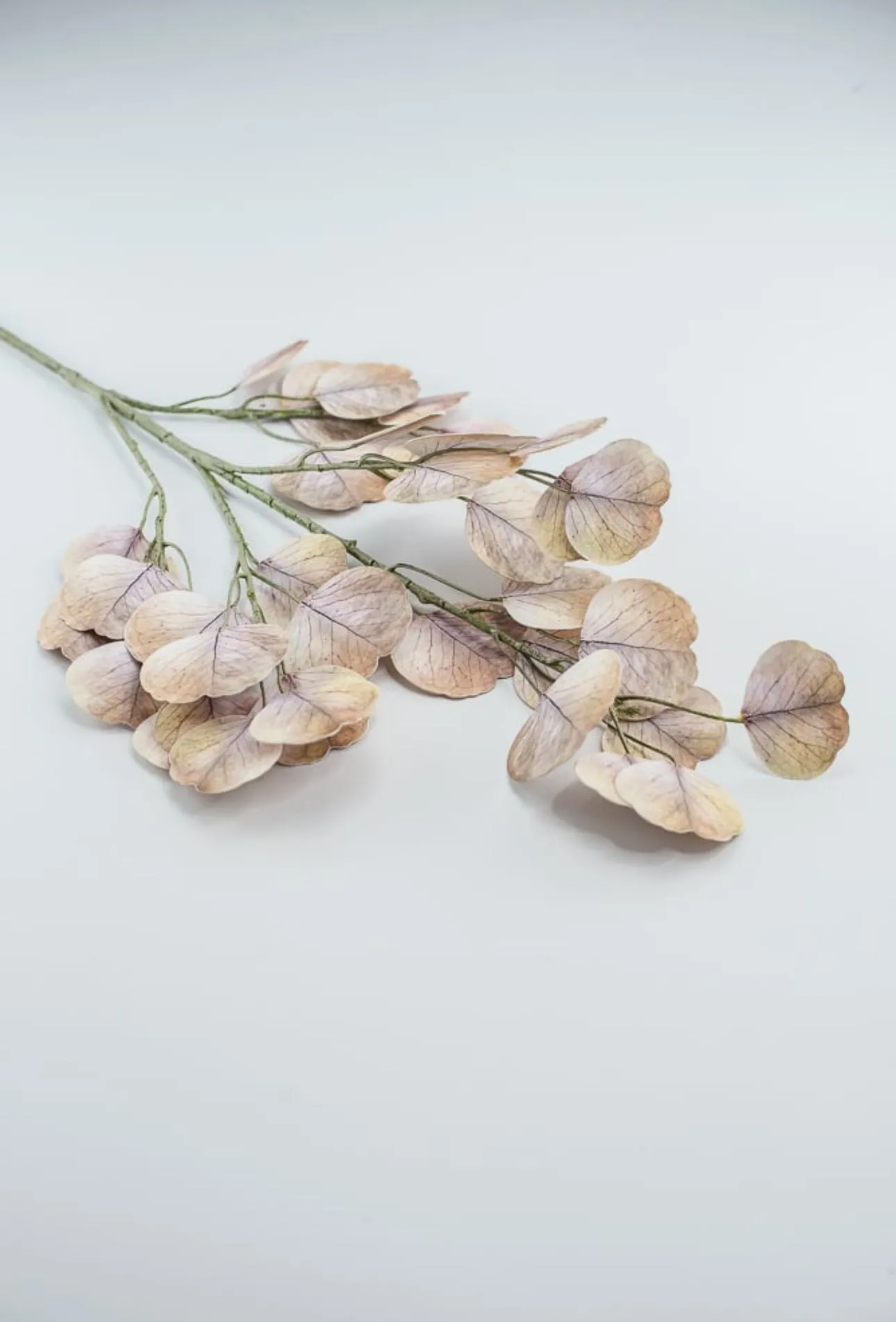 Real touch eucalyptus spray
