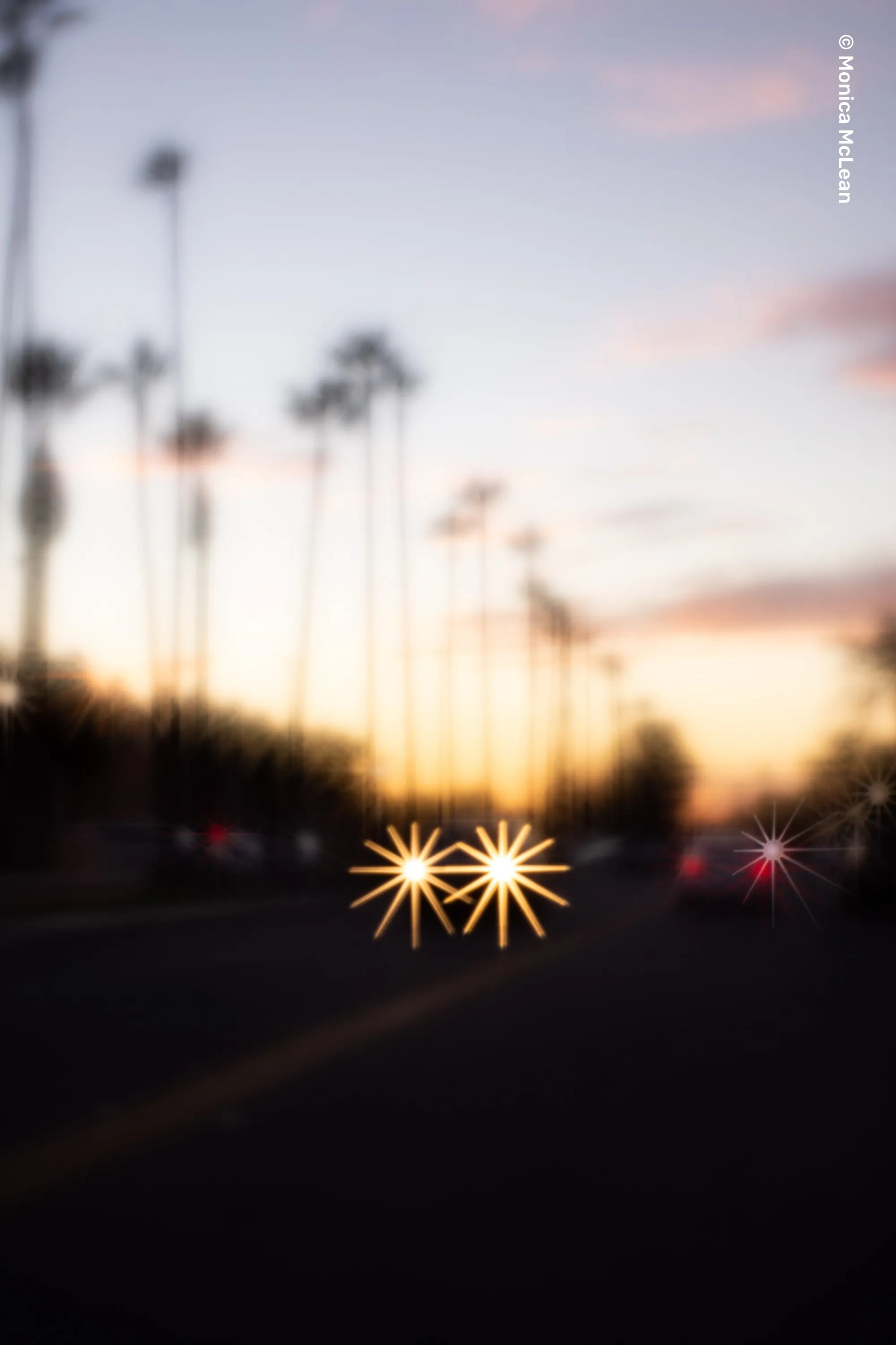 Soft Focus II Optic Only