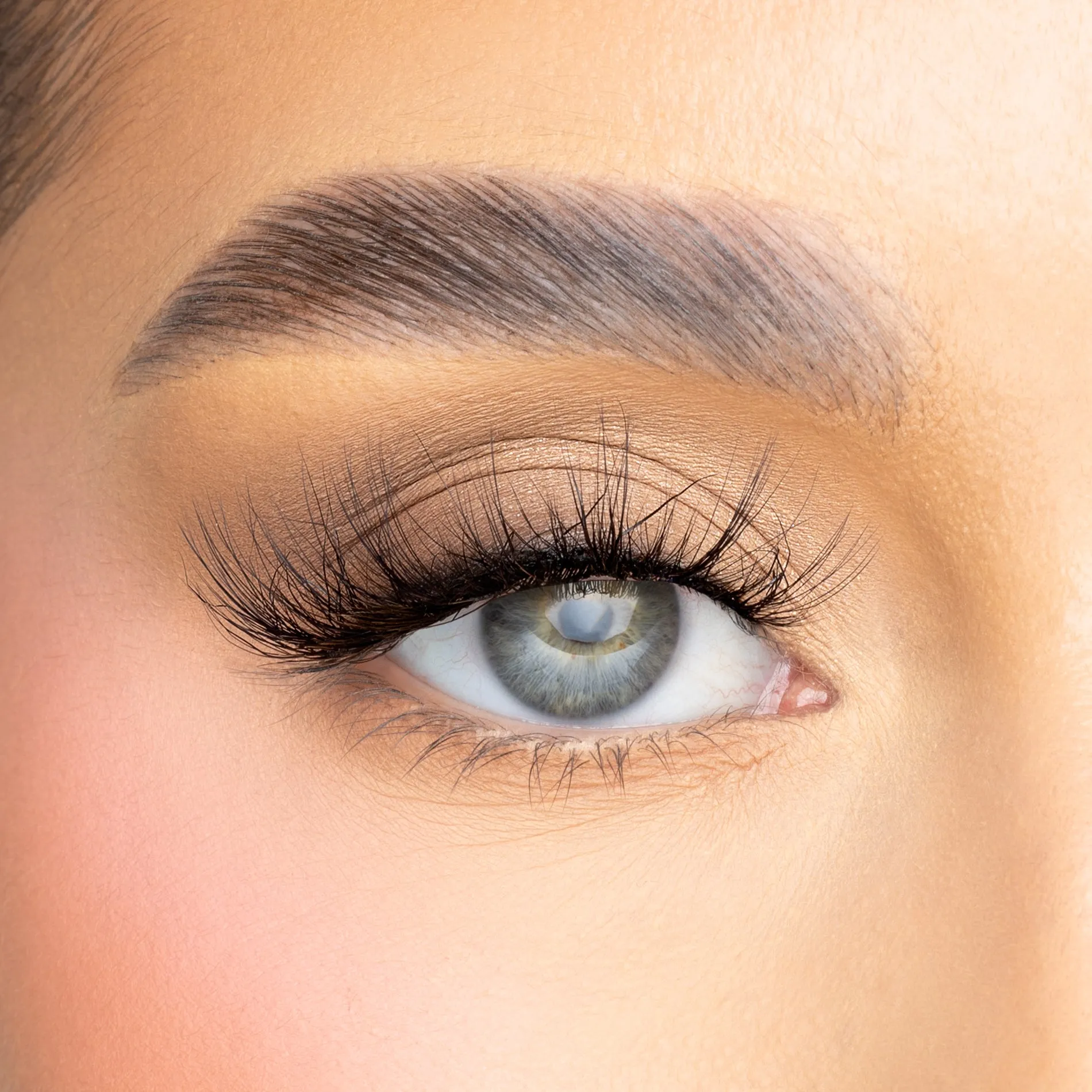 Stephanie Lash