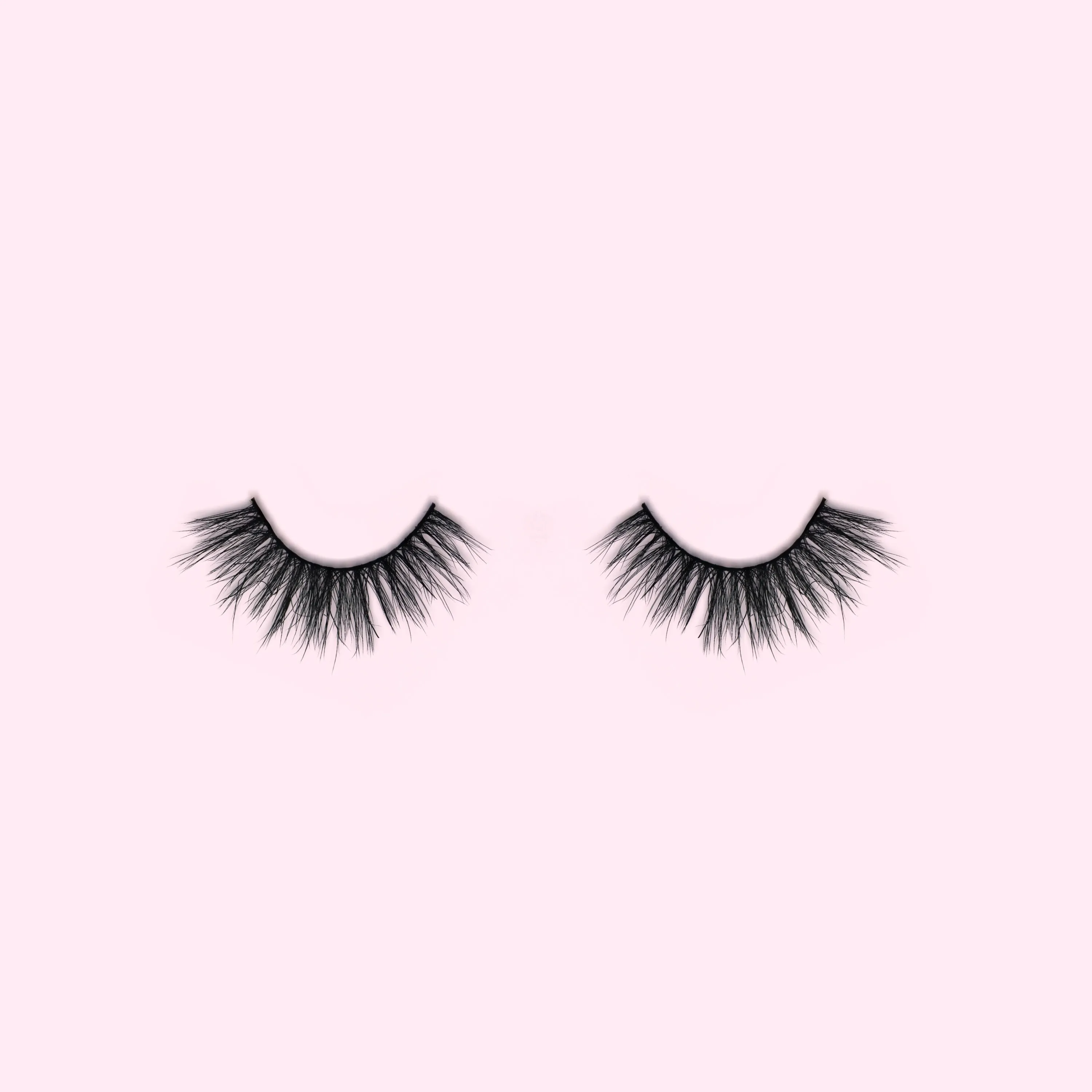 Stephanie Lash